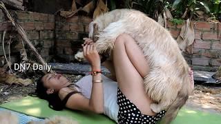 Fantastic Beautiful Girl Give Food and Play with Funny Dog Lovely Dog Present part2