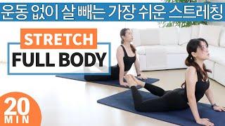 20 min DAILY STRETCH ROUTINE Full Body Stretch for Flexibility & Mobility