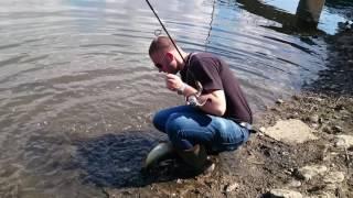 Спининг риболов на щукаspinning fn1p Пламен Петков