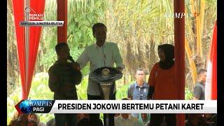 Bertemu Petani Karet Presiden Jokowi Serahkan Bibit dan Ikut Sadap Karet