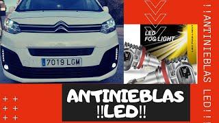  Como cambiar bombillas ANTINIEBLA por LED‼️  De halógenas a led  Citroen Spacetourer