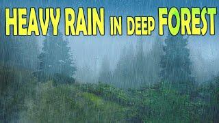  Heavy Rain & Thunder in Deep Forest - Ambient Sleep & Meditation Sounds @Ultizzz day#80