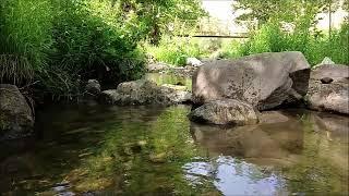 Beautiful stream wooden bridge.. Water sounds bird chirping.. Meditation with relaxing nature