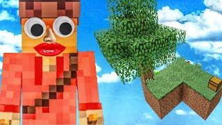 Minecraft but We Battle To Survive on Two SkyBlocks? Minecraft Gameplay