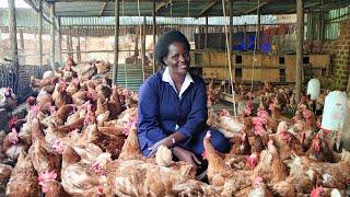 How to start poultry farming with little capital in 2023