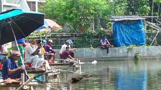 ১৫৬০০০টাকায় অবিরাম মাছ খেলানো দেখে অবাক হবেন আপনিও