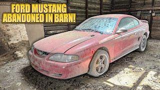 First Wash in 8 Years ABANDONED Barn Find Ford Mustang  Car Detailing Restoration