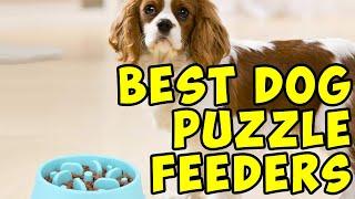 5 Best Dog Puzzle Feeders 2020 