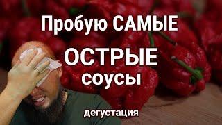 Пробую соусы из самых острых перцев в мире  Carolina Reaper  Ghost Peper  Habanero