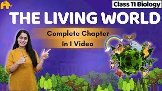 The Living World Class 11 Biology One Shot  NCERT Chapter 1  Complete Chapter  CBSE NEET