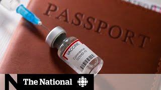 ‘Vaccine passports’ could be necessary for international travel Trudeau says