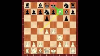 Chess for Beginners. Chess Openings #5. Opening Examples. Eugene Grinis. Chess