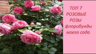 ТОП 7. РОЗОВЫЕ РОЗЫ.