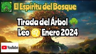 Tirada del árbol LEO ENERO 2024