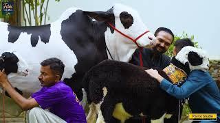 Miss World 2022 I Fibbi Cattle Farm I Parrot Studio