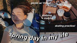 productive day in my life   picnic studying skating & more