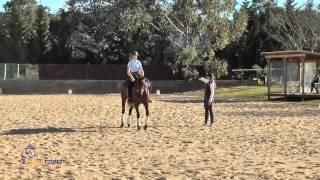 Eventer Exercise 3 -  Simple Four Leaf Clover preview