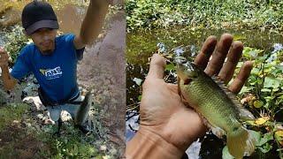 Dapat Spot mancing ikan lele dan betik yang mantul