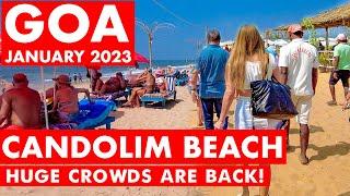 Goa  Candolim Beach - January - 2023  Situation Update  New Shacks  Goa Vlog  North Goa 