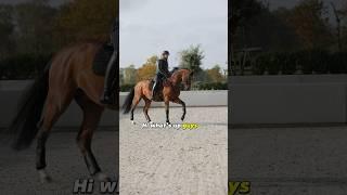 Recovery Training in Canter