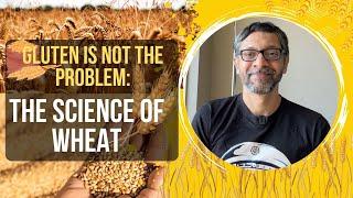 Gluten is Not the Problem The Science of Wheat