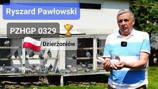 Ryszard Pawłowski - PZHGP 0329 Dzierżoniów  Lot Luneburg 513 km - Super Lot 