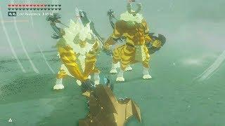 Breath of the Wild Double Gold Lynel  vs Fierce Deity  Subscriber Request