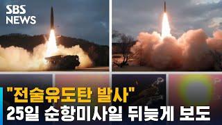 전술유도탄 발사…북 25일 순항미사일 뒤늦게 보도  SBS