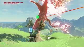 Tree Launching Clips from BOTW