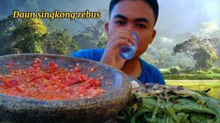 MUKBANG DAUN SINGKONG REBUS PAKE SAMBEL KENCUR +IKAN ASIN #lalapan