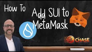 Adding SUI to MetaMask Your Complete Walkthrough Guide