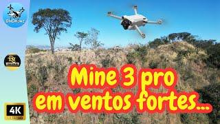 MINE 3 PRO VOANDO EM VENTO FORTE...