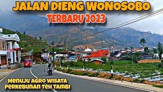 KONDISI JALAN DIENG WONOSOBO TERBARU 2023‼️MENUJU AGRO WISATA KEBUN TEH TAMBI