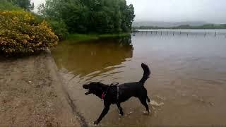 Last wee Dander around Moorlough - 9 Ulster Scots Heritage Day Raphoe East Donegal