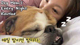 Dog Moms Night Routine with English Bulldogs