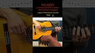 Picado Scales with Learn Flamenco Guitar App