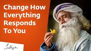 The Essence of Inner Engineering - Sadhguru