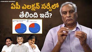 Tammareddy About Latest Survey On AP Politics  YSRCP  TDP  JSP  AP Next CM 2024