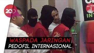 Tiga Pengedar Video Porno Jaringan Pedofil Loly Candy Ditangkap