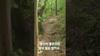 등산의 목적?