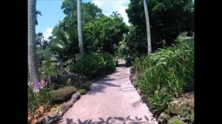 Singapore Botanics Walking from VIP Orchid Garden to Entrance of Orchid Garden