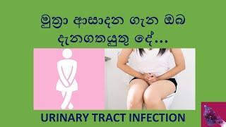 මුත්‍රා ආසාදන ගැන ඔබ දැනගතයුතු දේ Urine tract infection