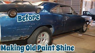 Making old oxidized single stage paint shine again in minutes. Is this one of the best polishes?