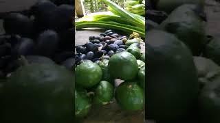 memasak di  kebun Marata Jiko mansel