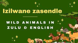 Izilwane zasendle - Wild Animals in Zulu & English