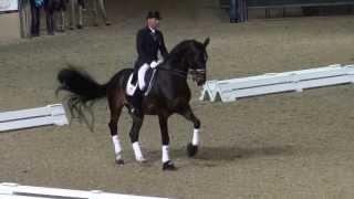 Ravel & Steffen Peters - Their Last Freestyle - Night of Musical Freestyles 2013
