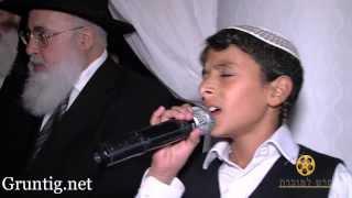 Uziya Tzadok Sings Kochav Meir Live At Chuppah