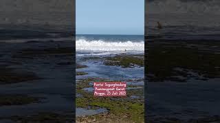 Pantai Sayangheulang Pameungpeuk Garut Minggu 23 Juli 2023 #shorts #pantaiselatan #garut