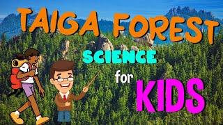 What is the Taiga Forest  Science for Kids