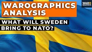 What Will Sweden Bring to NATO A Warographics Analysis